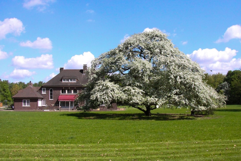 Sittarderweg 5, BORN
